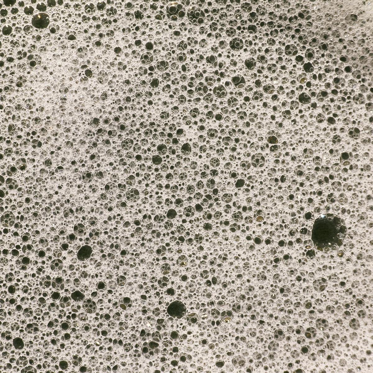 Antioxidant Burst Shower Gel