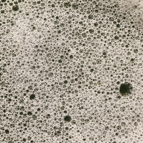 Antioxidant Burst Shower Gel